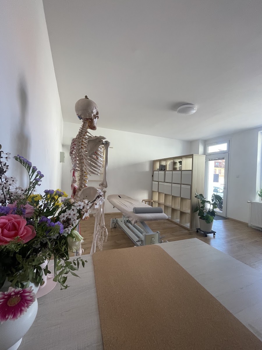 Praxisraum mit Behandlungsliege, Skelettmodell und Blumenstrauß